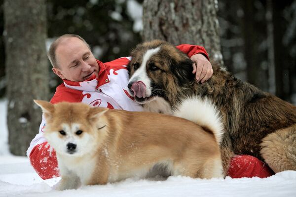 犬のバッフィとユメを連れ、モスクワ州を散歩 - Sputnik 日本
