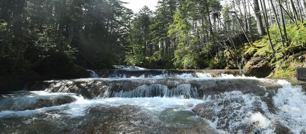 クリル諸島へ空路も 来月からの開始を首脳会談で確認 クリル諸島へ空路も 来月からの開始を首脳会談で確認 - Sputnik 日本