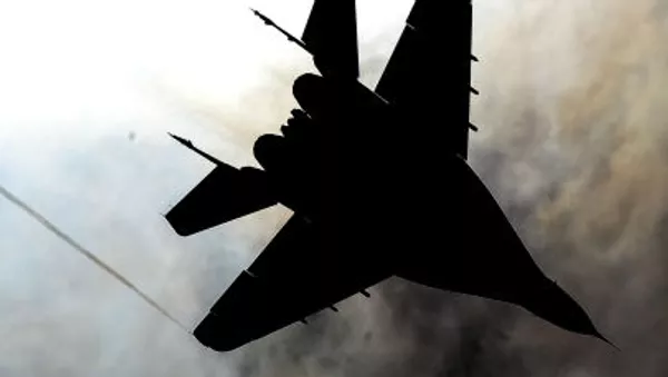 ロシア、新たに第5世代戦闘機をUAEと共同開発へ - Sputnik 日本