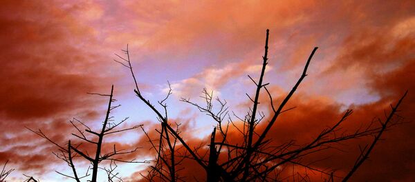 学者、21世紀に世界の終わりが到来する可能性を評価 学者、21世紀に世界の終わりが到来する可能性を評価 - Sputnik 日本