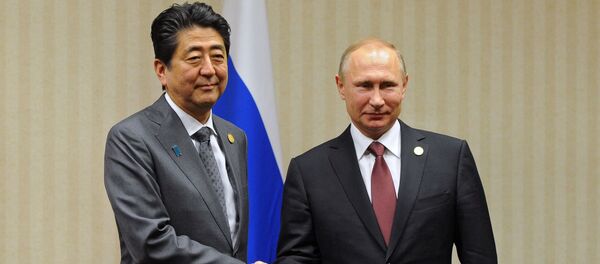 南クリルでの経済協力のどこに危険が隠されているか？ - Sputnik 日本