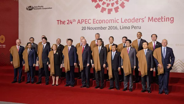 濃密なプーチン大統領のペルーＡＰＥＣ首脳会議、ビジネスあり、オバマ氏への労いもあり - Sputnik 日本
