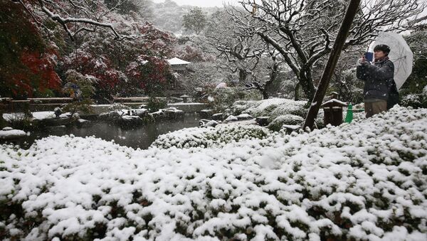 東京都心、初雪11月では54年ぶり - Sputnik 日本