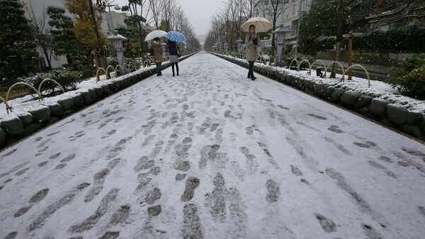 関東地方、10日から大雪の予想 - Sputnik 日本