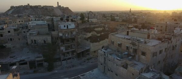 シリア、米国トルコの軍事作戦は「介入」 - Sputnik 日本