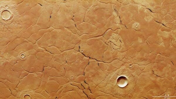 火星で迷路のような不思議なエリアが撮影される - Sputnik 日本