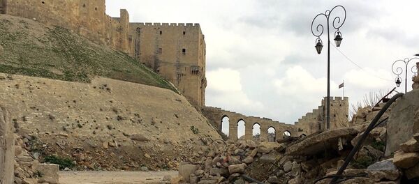 米国防総省:ロシア軍の電話は有志連合のシリア軍への空爆を制止した 米国防総省:ロシア軍の電話は有志連合のシリア軍への空爆を制止した - Sputnik 日本