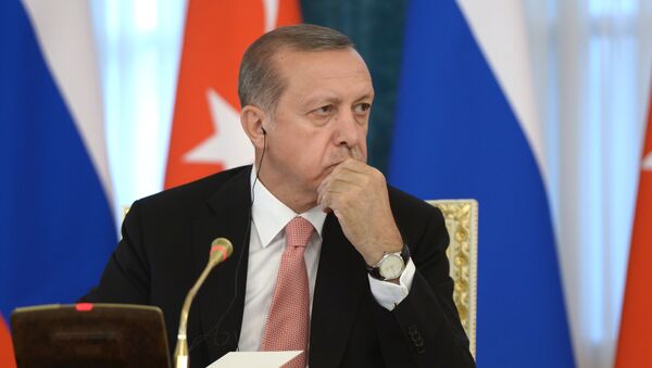 シリアでのトルコ軍の真の目的、エルドアン大統領発言にロシアから再度コメント - Sputnik 日本
