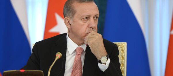 シリアでのトルコ軍の真の目的、エルドアン大統領発言にロシアから再度コメント - Sputnik 日本