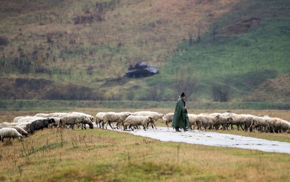 ロシア、ベラルーシ、セルビアの空挺部隊が合同演習を行う「スラブの同胞2016」が行われているセルビアの首都ベオグラード近郊の軍事演習場を歩く羊飼い - Sputnik 日本