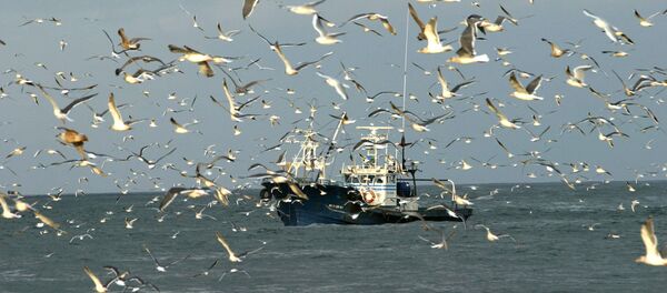 日本の漁業関係者、南クリルで望むものを語る - Sputnik 日本