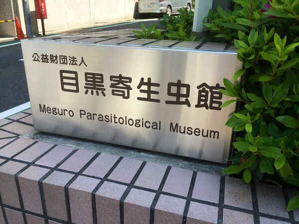 寄生虫館 寄生虫館 - Sputnik 日本