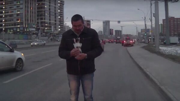 勇敢な男性：ロシアで男性が走る車の下から猫を救う - Sputnik 日本
