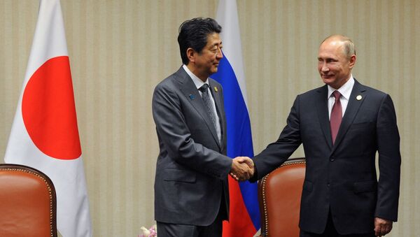 日本政府　日ロ首脳会談前に次官級協議の開催をロシア側に打診 - Sputnik 日本