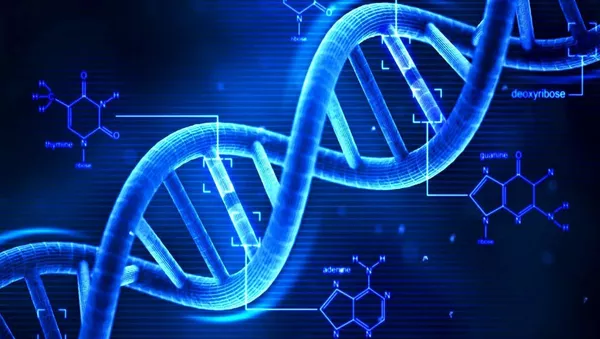 DNA - Sputnik 日本