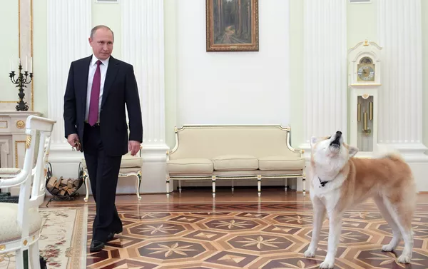 プーチン大統領、愛犬「ゆめ」を記者団にお披露目 プーチン大統領、愛犬「ゆめ」を記者団にお披露目 - Sputnik 日本