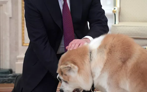 プーチン大統領、愛犬「ゆめ」を記者団にお披露目 プーチン大統領、愛犬「ゆめ」を記者団にお披露目 - Sputnik 日本
