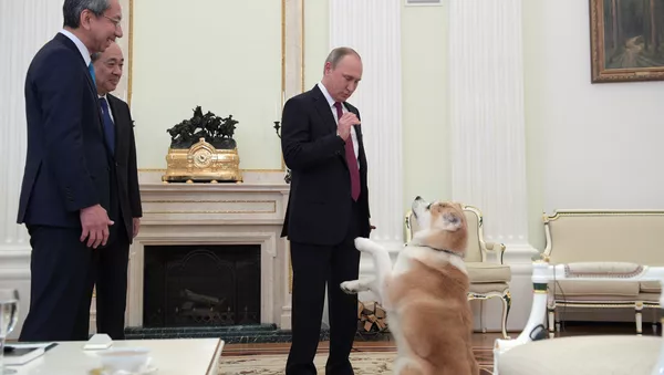 プーチン大統領、愛犬「ゆめ」を記者団にお披露目 - Sputnik 日本