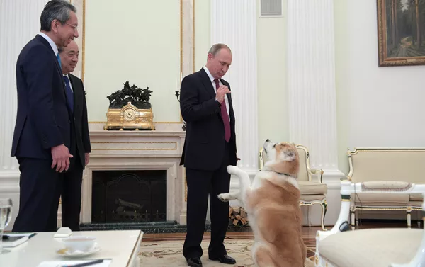 プーチン大統領、愛犬「ゆめ」を記者団にお披露目 プーチン大統領、愛犬「ゆめ」を記者団にお披露目 - Sputnik 日本