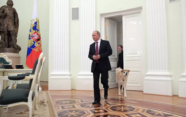 プーチン大統領、愛犬「ゆめ」を記者団にお披露目 プーチン大統領、愛犬「ゆめ」を記者団にお披露目 - Sputnik 日本