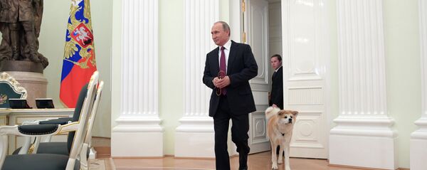 ロシア大統領、秋田犬の飼い主に助言 - Sputnik 日本