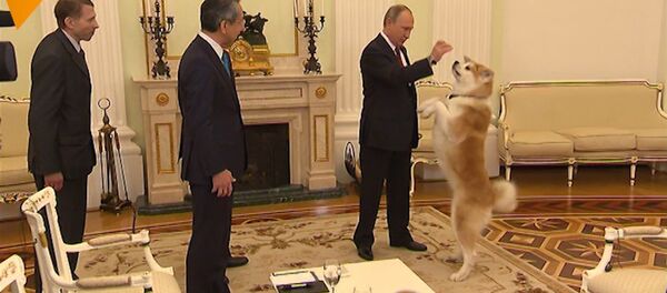 プーチン大統領、愛犬「ゆめ」を記者団にお披露目 - Sputnik 日本