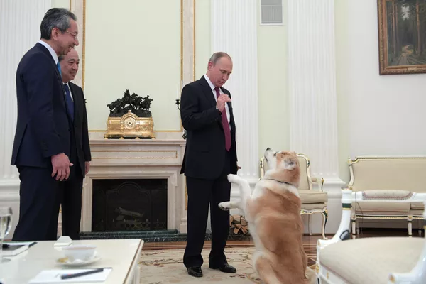 犬好きなプーチン大統領 犬好きなプーチン大統領 - Sputnik 日本