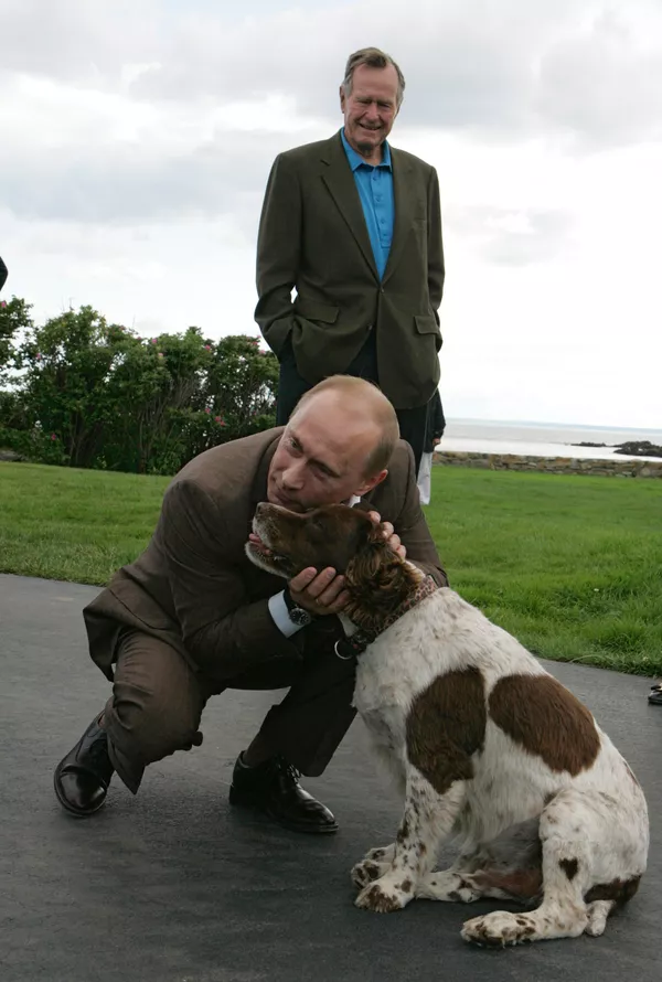 犬好きなプーチン大統領 犬好きなプーチン大統領 - Sputnik 日本