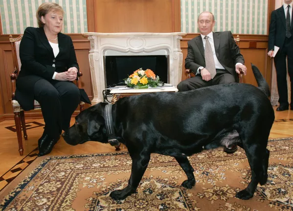 犬好きなプーチン大統領 犬好きなプーチン大統領 - Sputnik 日本