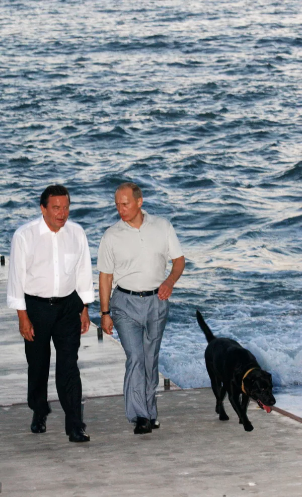 犬好きなプーチン大統領 犬好きなプーチン大統領 - Sputnik 日本