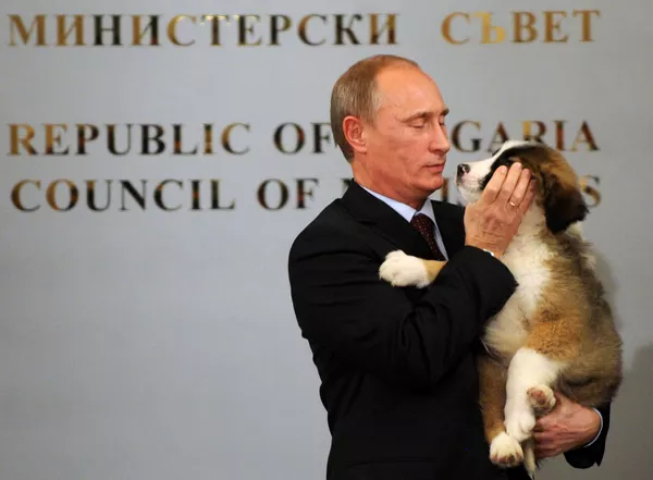 犬好きなプーチン大統領 犬好きなプーチン大統領 - Sputnik 日本