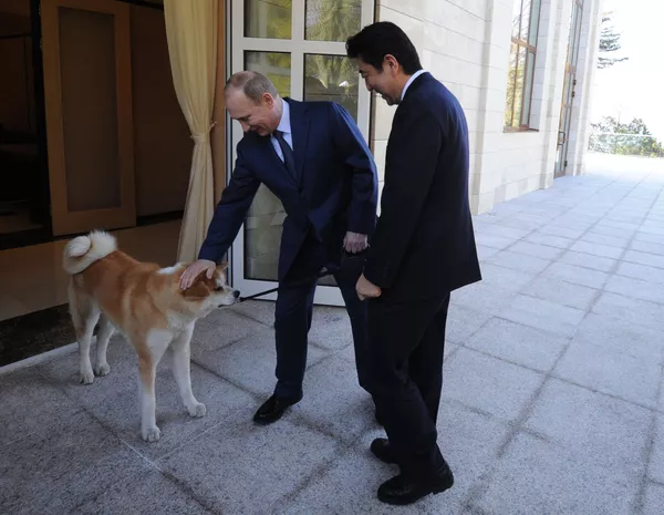 犬好きなプーチン大統領 犬好きなプーチン大統領 - Sputnik 日本