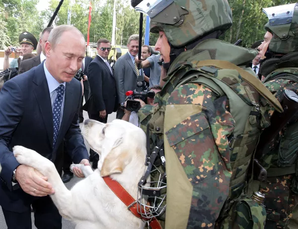 犬好きなプーチン大統領 犬好きなプーチン大統領 - Sputnik 日本