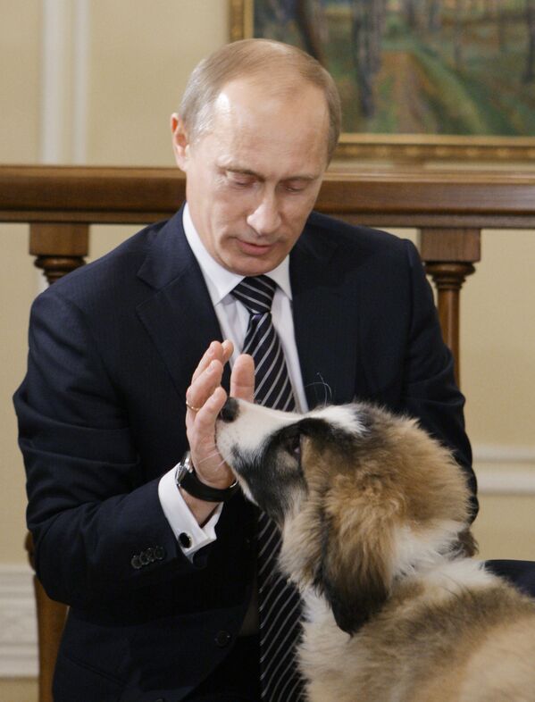 犬好きなプーチン大統領 - Sputnik 日本
