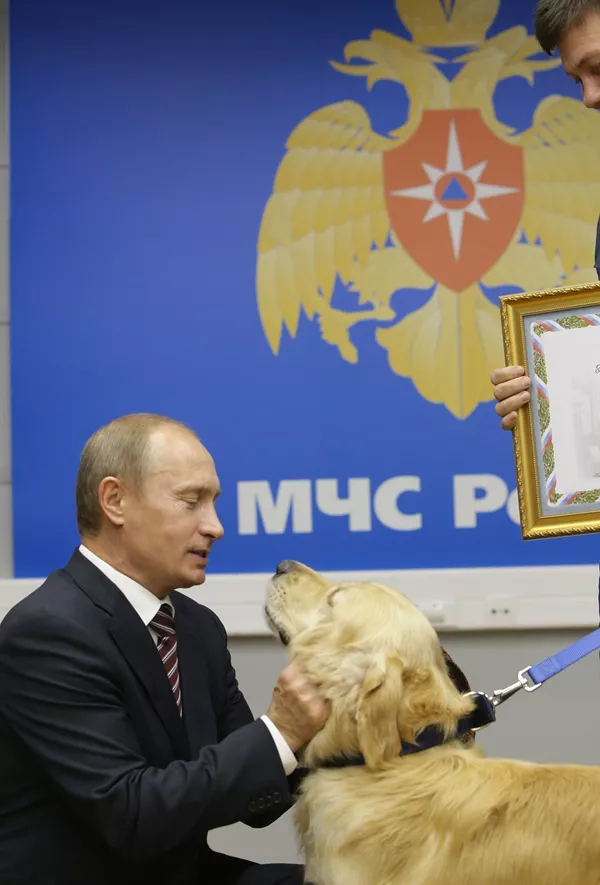 犬好きなプーチン大統領 犬好きなプーチン大統領 - Sputnik 日本