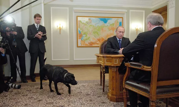 犬好きなプーチン大統領 犬好きなプーチン大統領 - Sputnik 日本