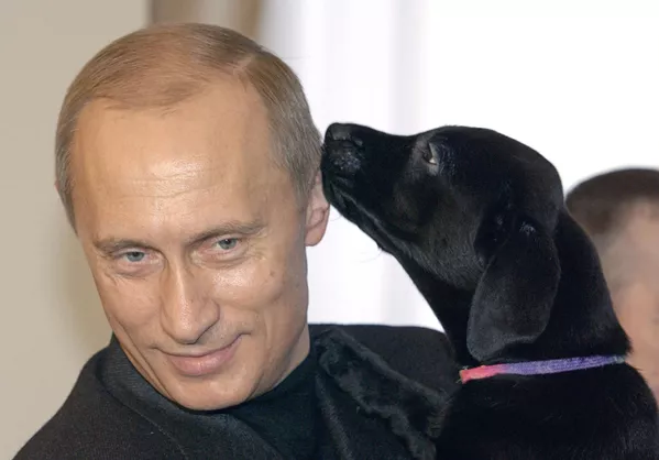 犬好きなプーチン大統領 犬好きなプーチン大統領 - Sputnik 日本