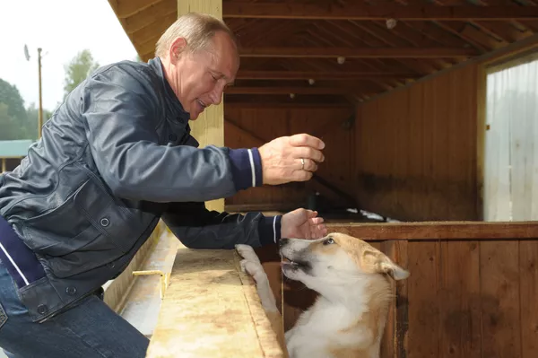 犬好きなプーチン大統領 犬好きなプーチン大統領 - Sputnik 日本