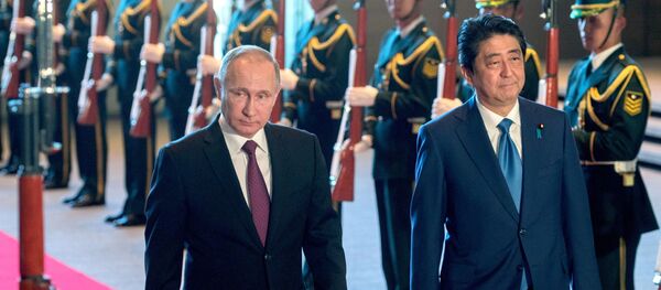 集中会談の一年:ロシアと日本は果たして平和条約締結から遠ざかったのか? 集中会談の一年:ロシアと日本は果たして平和条約締結から遠ざかったのか? - Sputnik 日本