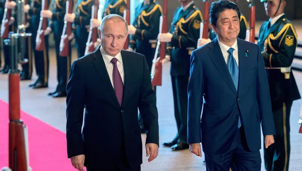 日本、分かれる露日首脳会談への評価、政府と元島民複雑なへだたり - Sputnik 日本