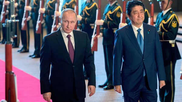 集中会談の一年：ロシアと日本は果たして平和条約締結から遠ざかったのか？ - Sputnik 日本