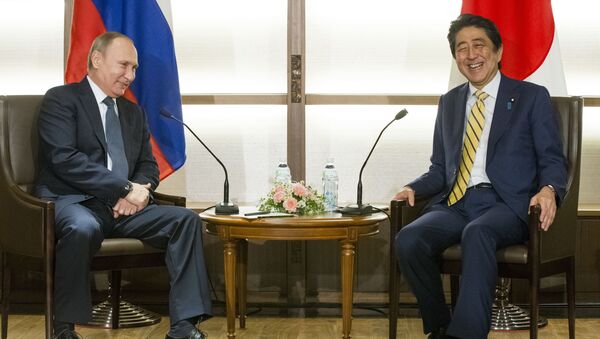 プーチン大統領「露日平和条約の作業加速は可能」 - Sputnik 日本