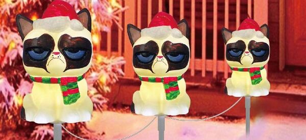 ビールとおしゃれな服を愛する猫ブロガー、アルベルトがインスタグラムのユーザーたちの愛を獲得 ビールとおしゃれな服を愛する猫ブロガー、アルベルトがインスタグラムのユーザーたちの愛を獲得 - Sputnik 日本