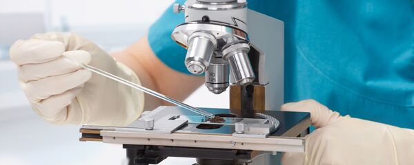 免疫療法と超音波はアルツハイマー対策に効果 - Sputnik 日本