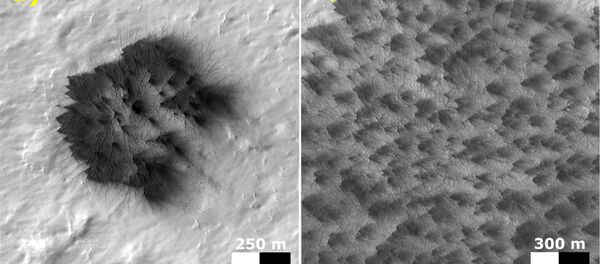 NASA、火星に「クモ」が出現し、成長している理由を突き止める - Sputnik 日本