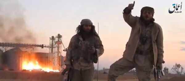 トルコで「ダーイシュ」の幹部1人が逮捕される - Sputnik 日本