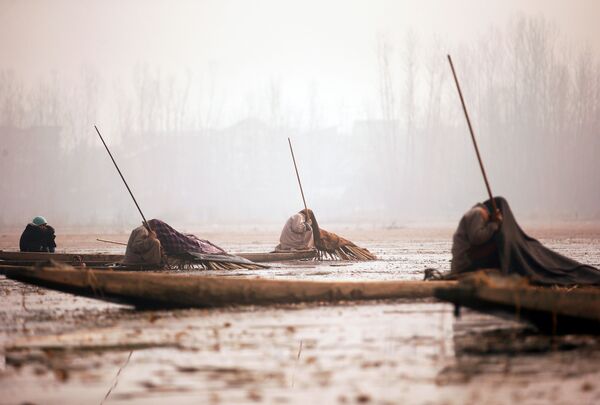 パキスタン・マンチャル湖で魚のアタリを待つ漁師 - Sputnik 日本
