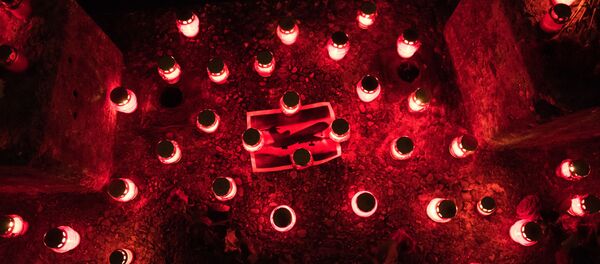 ソチ沖で墜落したツポレフ１５４の１個目のブラックボックスが見つかる - Sputnik 日本