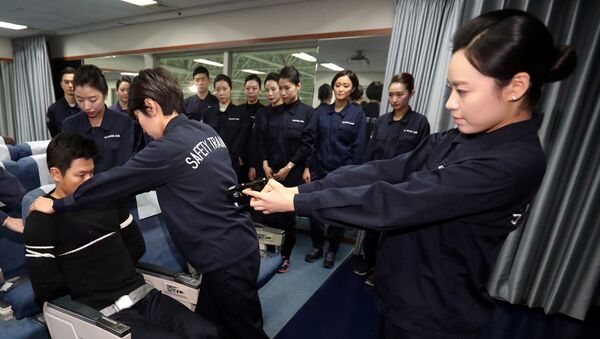 大韓航空の客室乗務員　電気ショック器具で武装 - Sputnik 日本