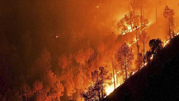 ザバイカリエ地方の森林火災　一昼夜で６倍に拡大 - Sputnik 日本